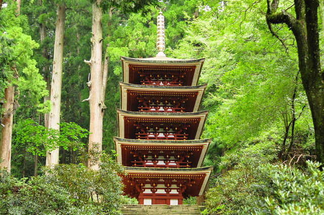 大和あじさい重ね色巡礼で室生寺へ　京都からレンタカードライブ