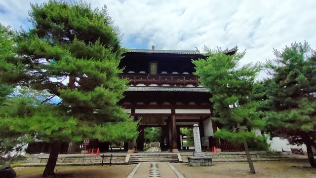 京都から　雨の日　ドライブ　グループ　宇治　黄檗山萬福寺