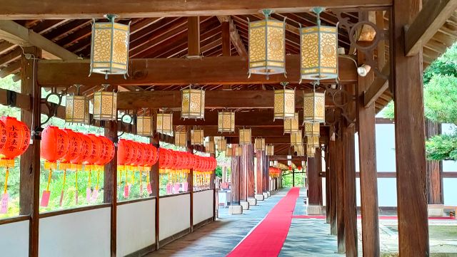 京都からドライブ　黄檗山萬福寺