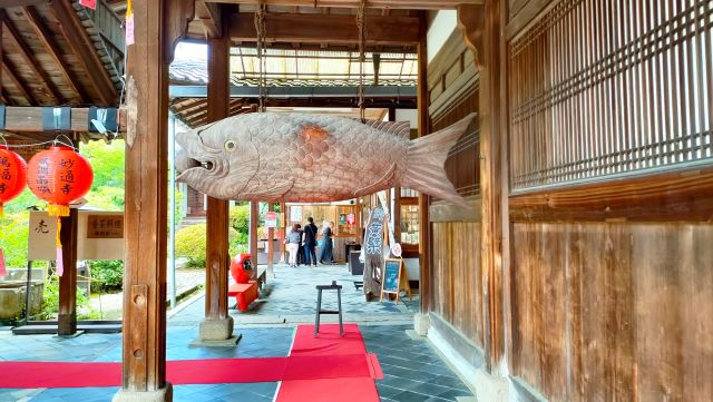 京都から黄檗山萬福寺へドライブ