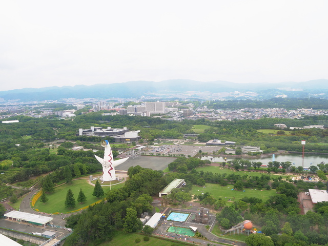 京都から　ドライブ　雨の日　子連れ　万博記念公園