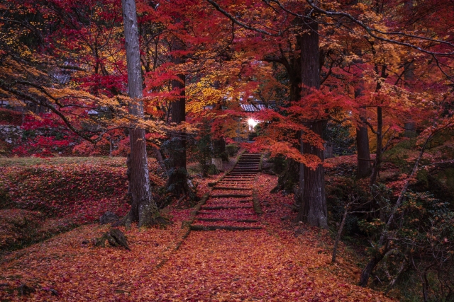 龍穏寺の紅葉