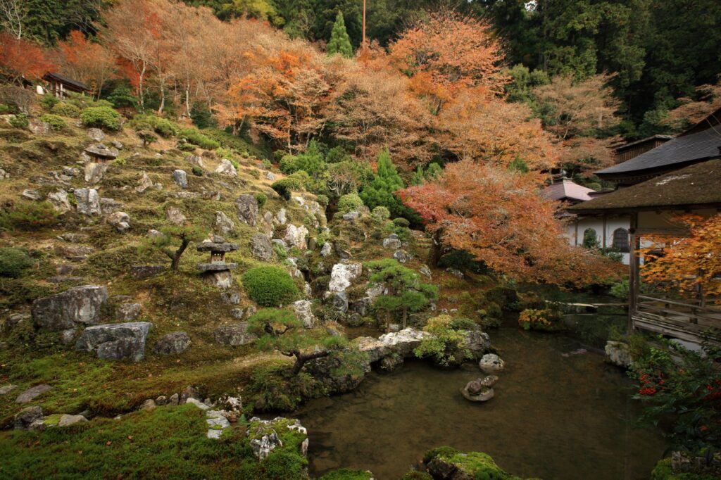 京都郊外の紅葉の穴場常照皇寺へレンタカーでドライブ