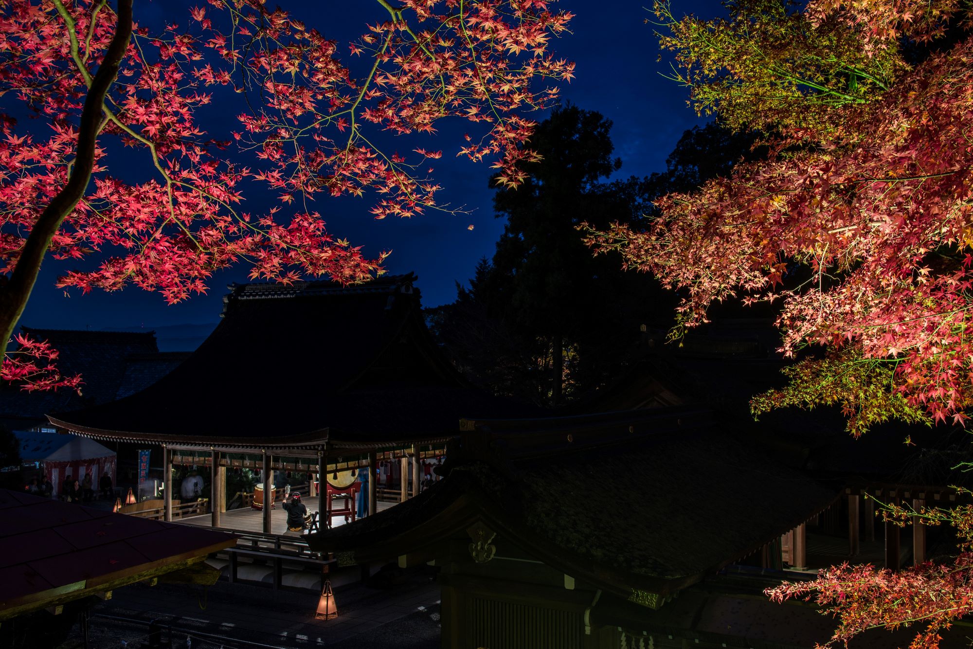 亀岡の出雲大神宮の紅葉へレンタカーでドライブ