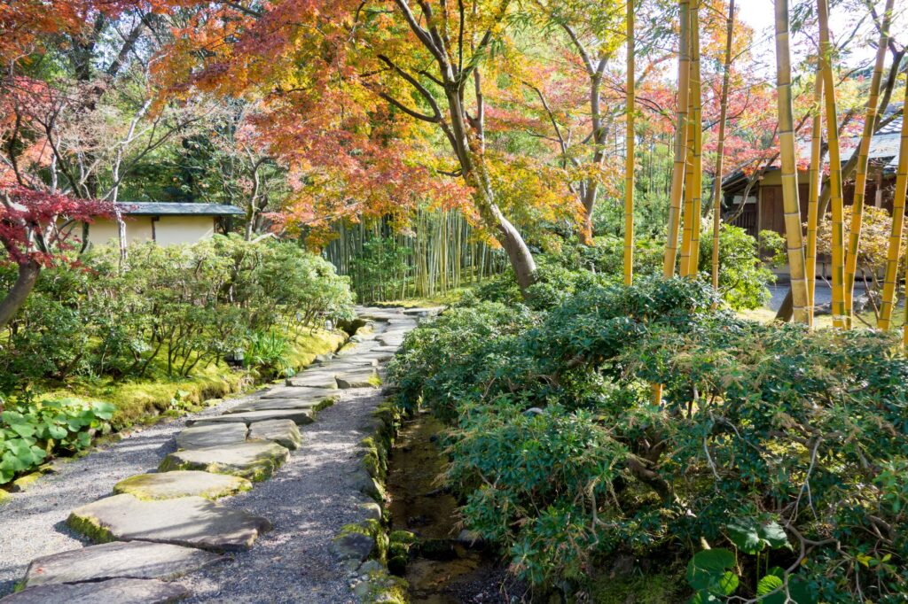 松花堂庭園へ紅葉を見にレンタカーでドライブ