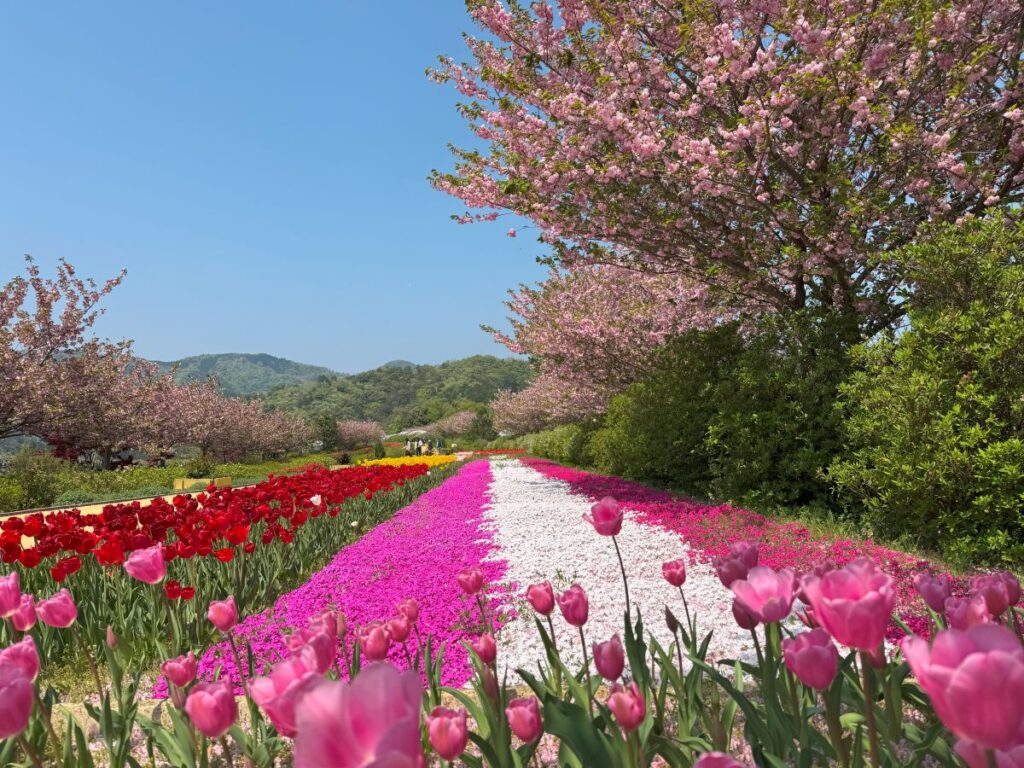花郷OKADA