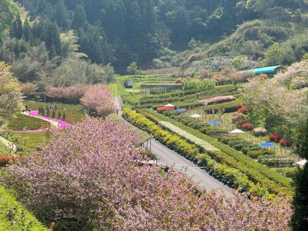 花郷OKADA