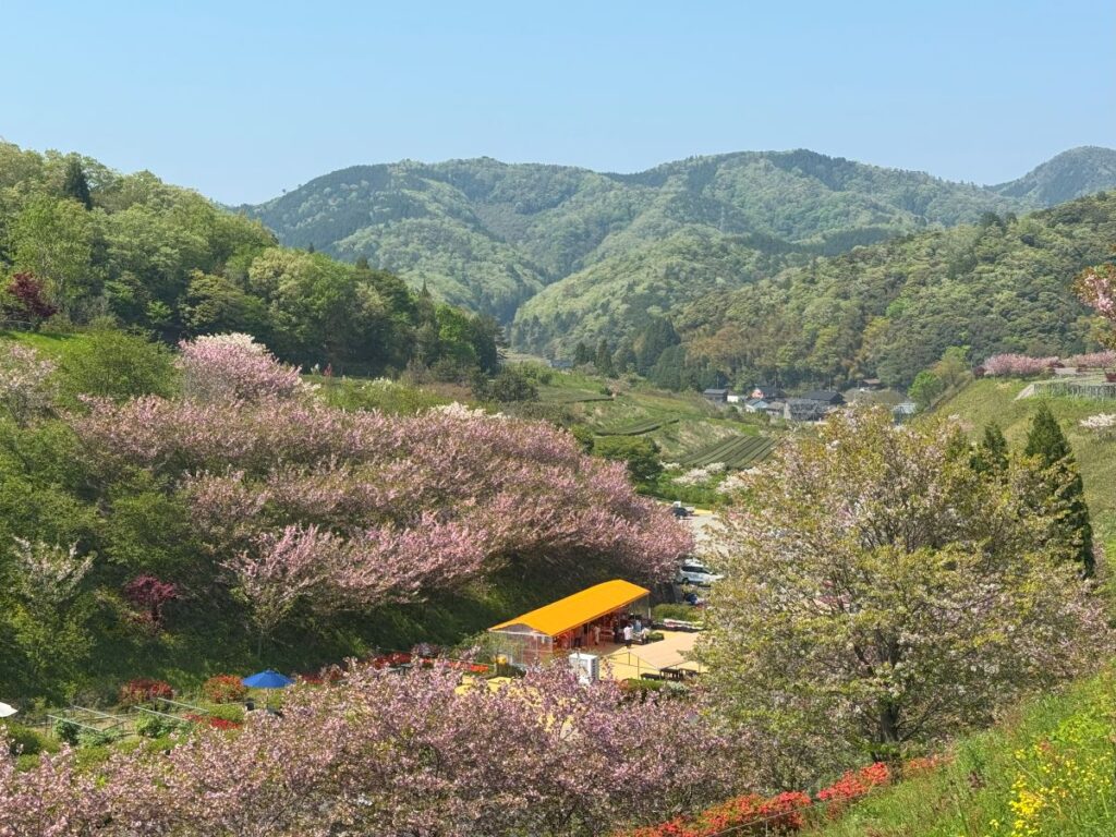 花郷OKADA