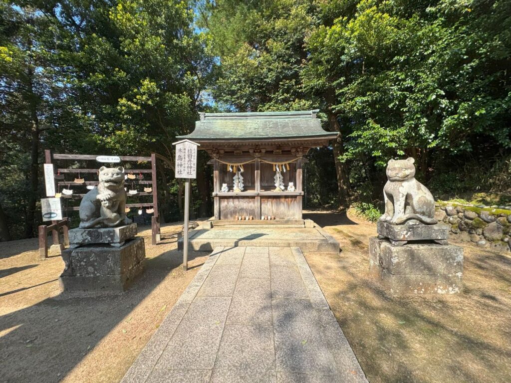 狛猫
